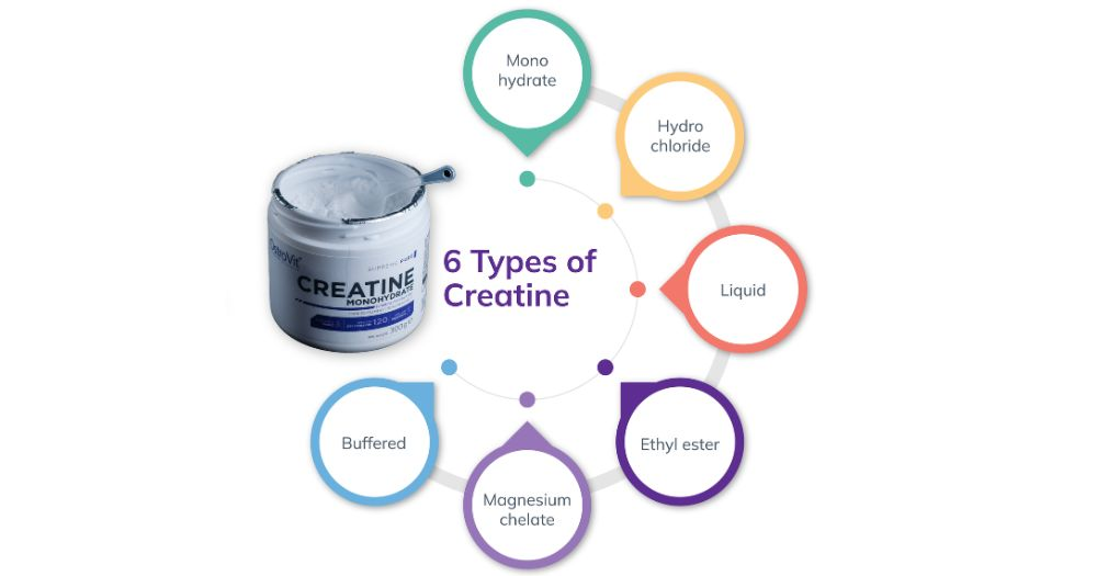  types of creatine powder: Best Creatine in India