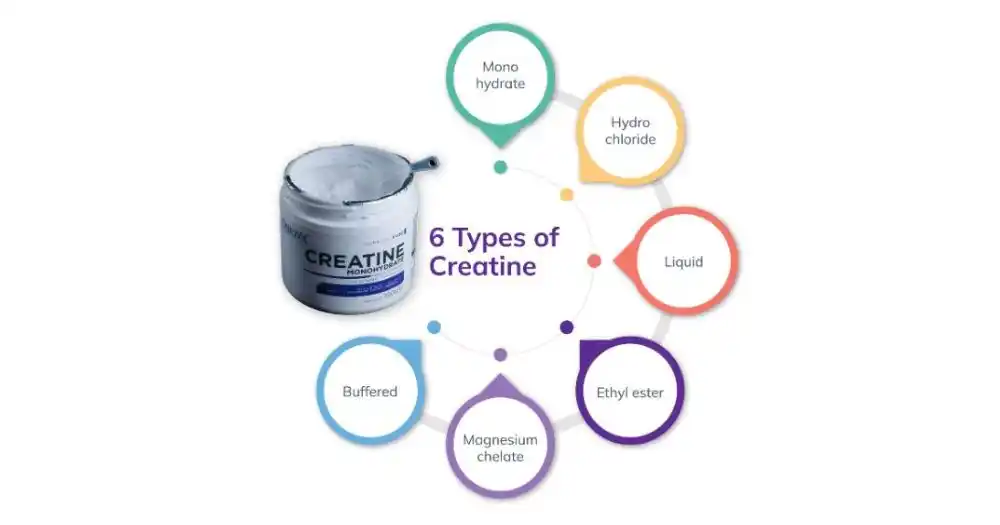 different types of creatine powde